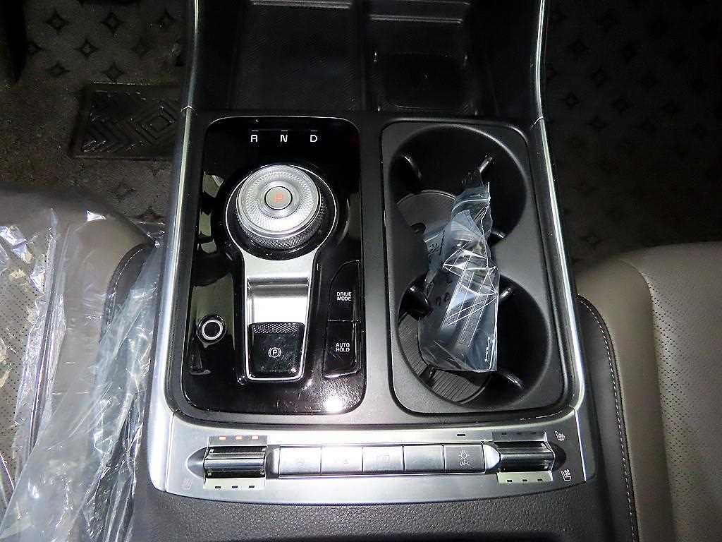 KIA Carnival - Vista 12