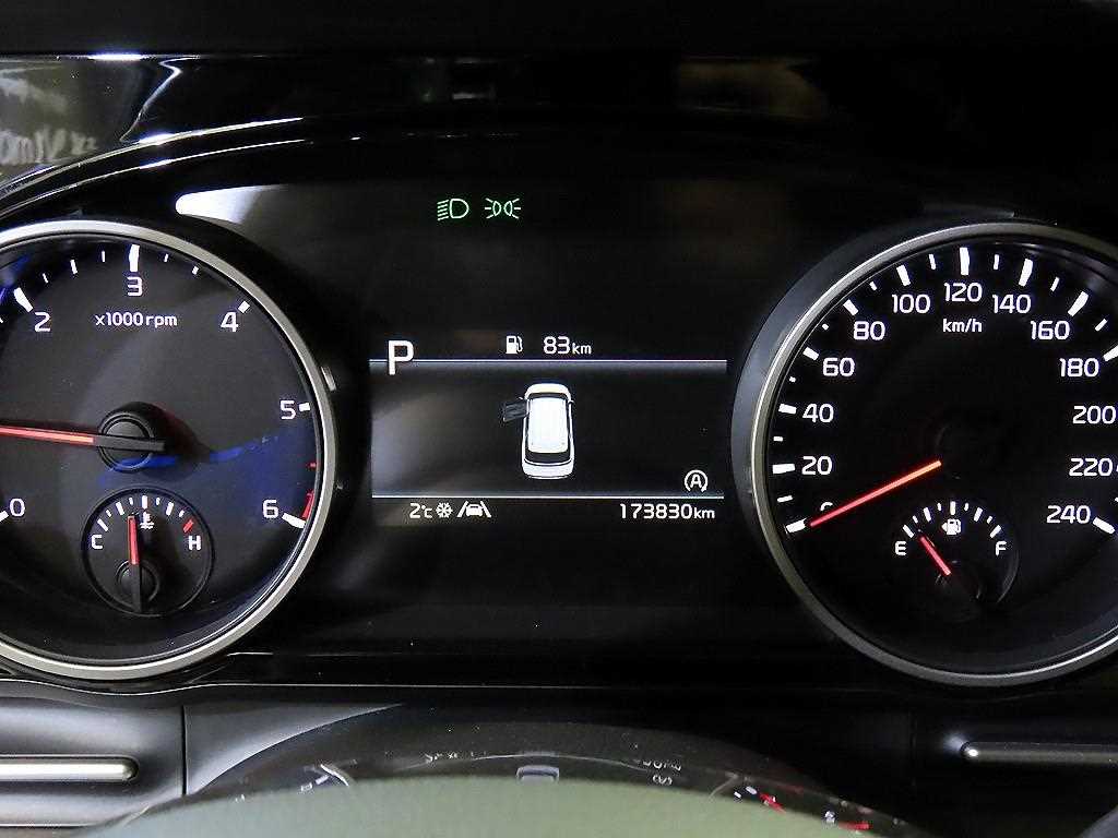 KIA Carnival - Vista 9