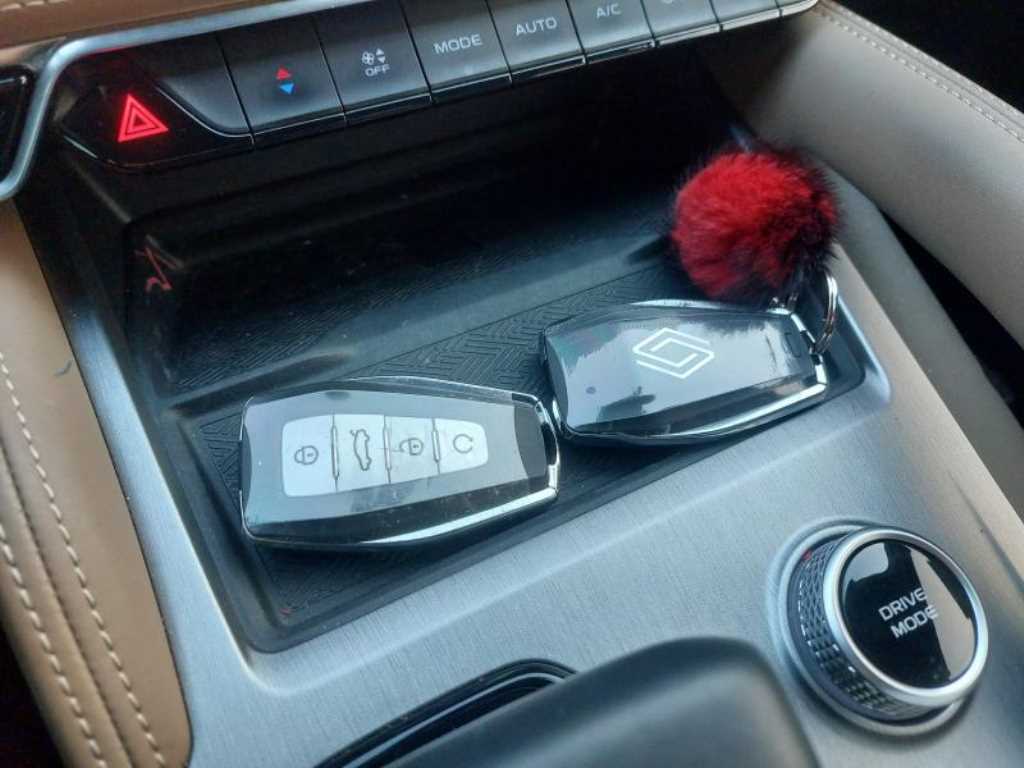 SAMSUNG Grand Koleos - Vista 12