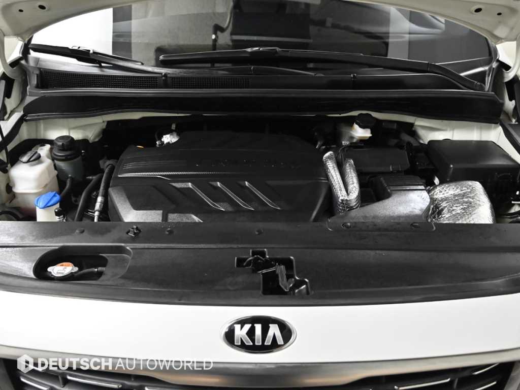 KIA Carnival - Vista 6