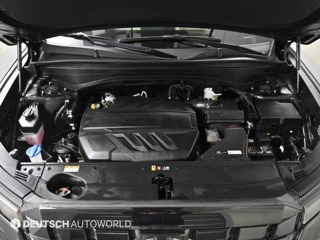 HYUNDAI Palisade - Vista 6