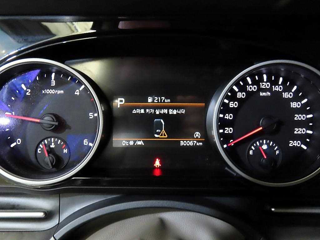 KIA Carnival - Vista 9