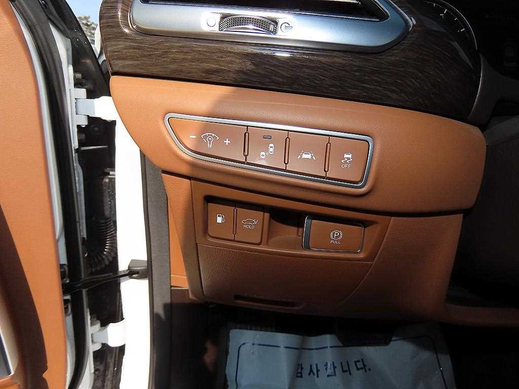 Genesis G90 - Vista 12