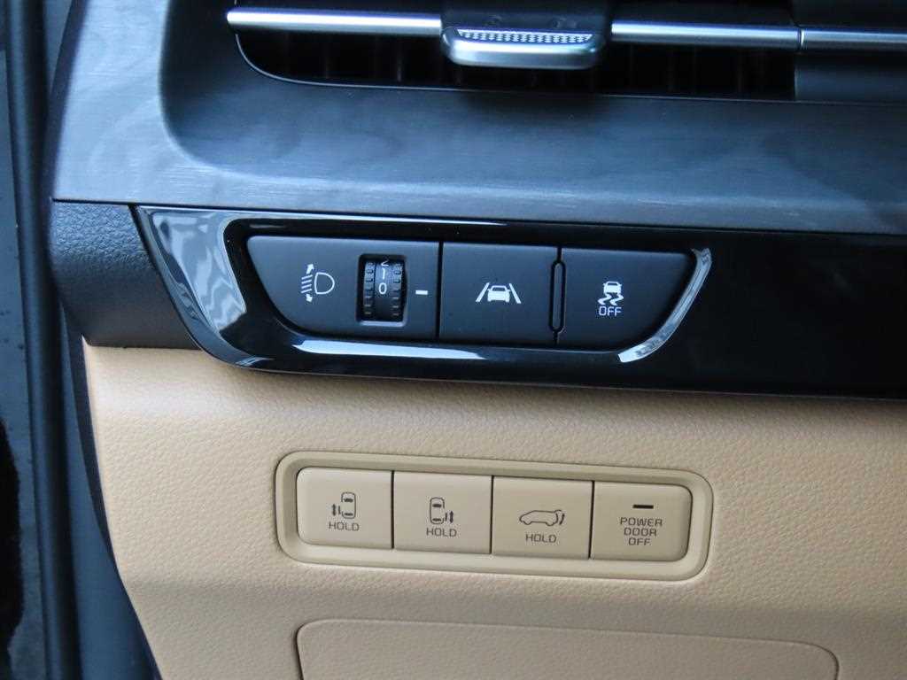 KIA Carnival - Vista 12