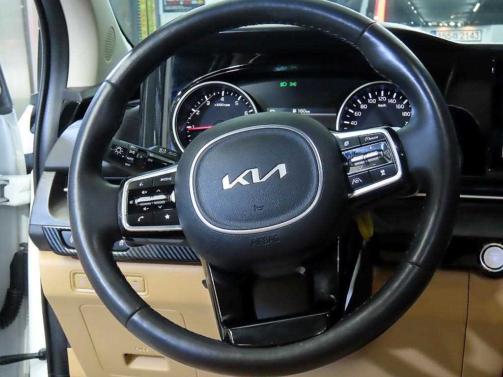 KIA Carnival - Vista 8