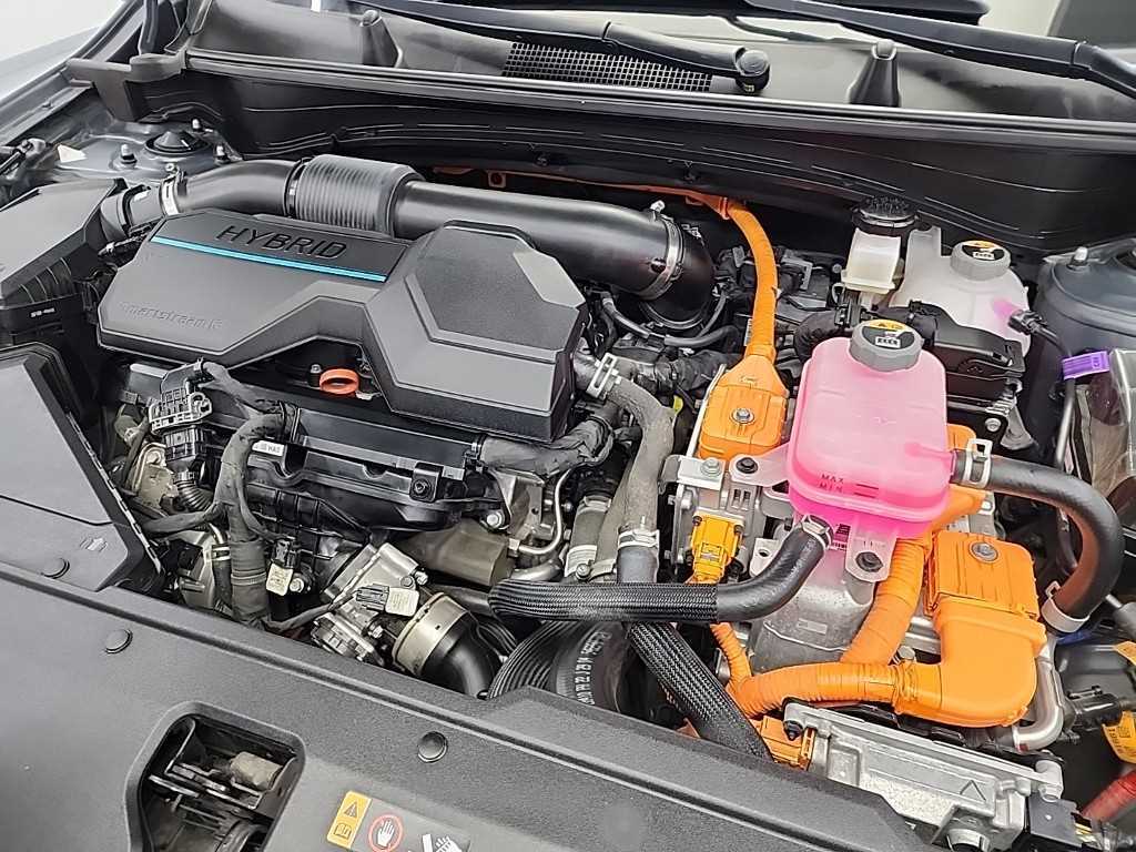 KIA Sportage - Vista 5