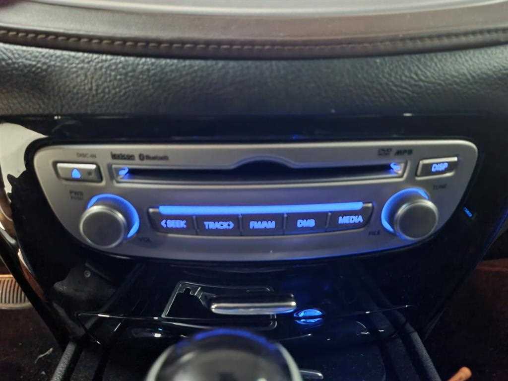 HYUNDAI Genesis - Vista 9