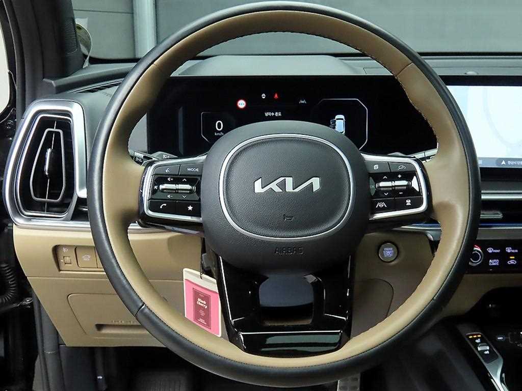 KIA Sorento - Vista 9