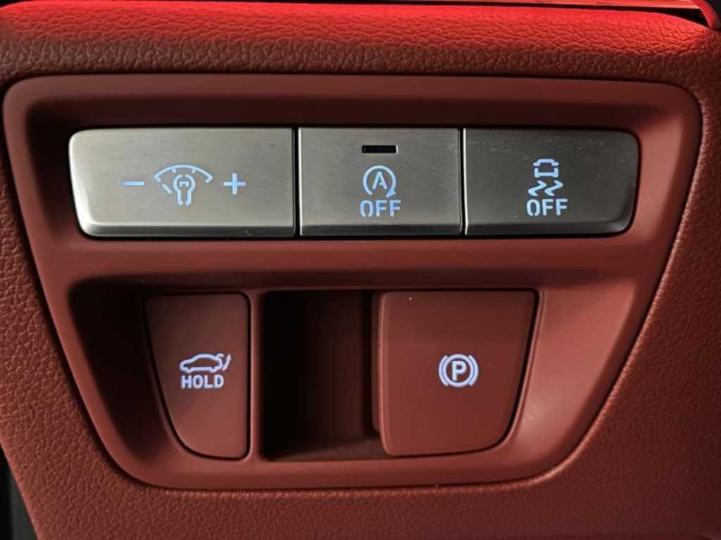 Genesis G80 - Vista 12