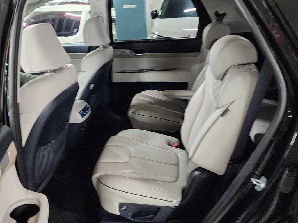HYUNDAI Palisade - Vista 8