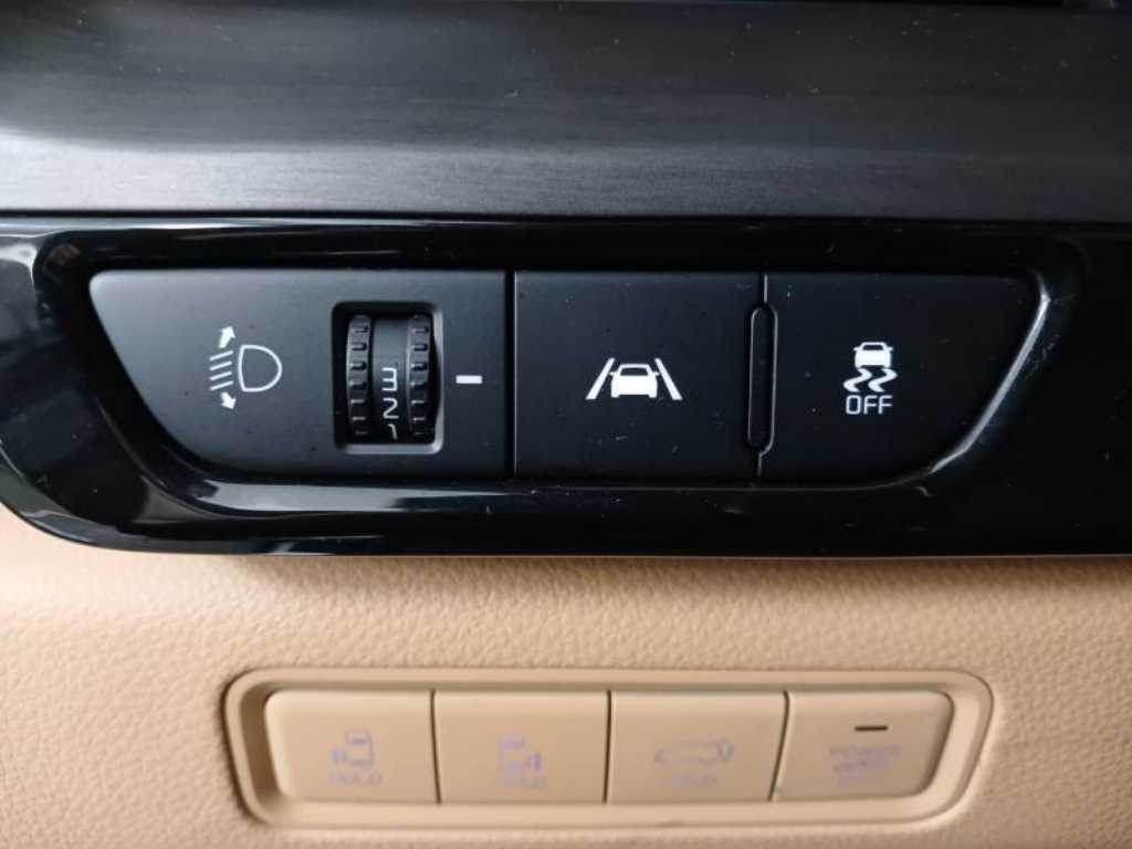 KIA Carnival - Vista 9