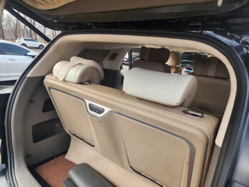 KIA Carnival - Vista 8