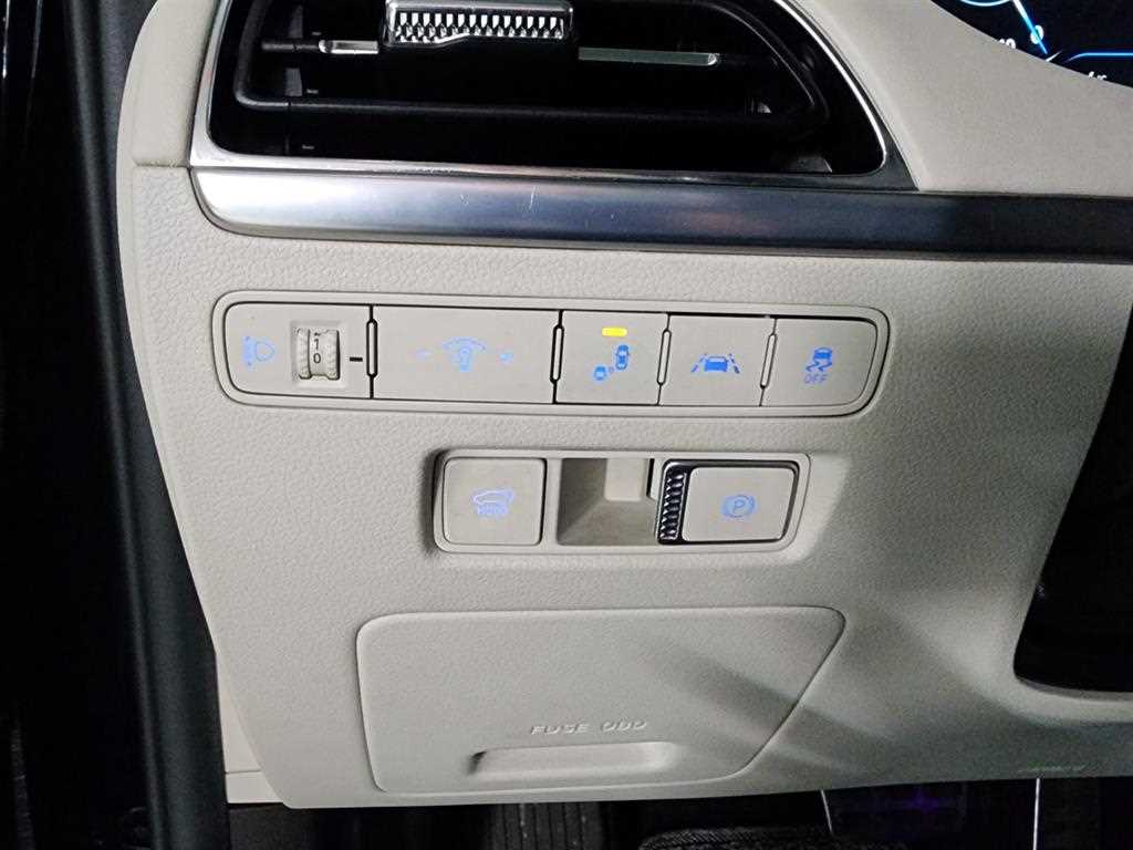 HYUNDAI Palisade - Vista 10