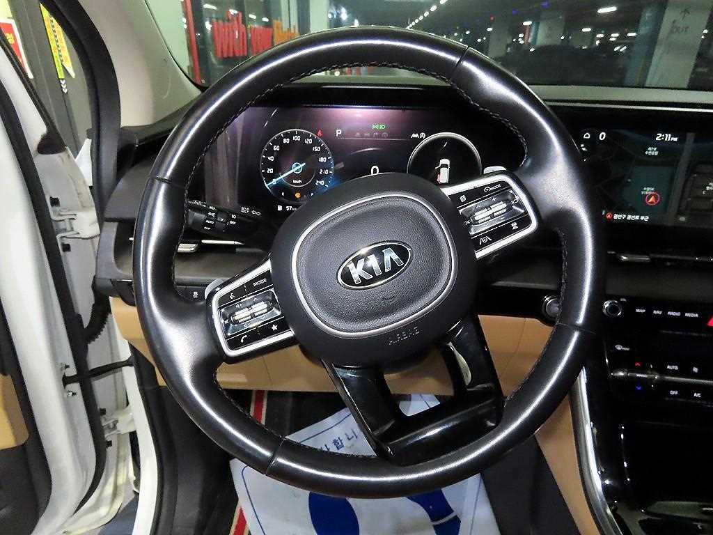 KIA Carnival - Vista 8