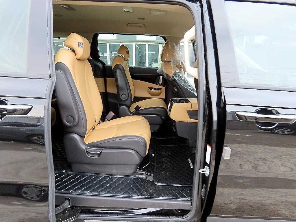 KIA Carnival - Vista 12