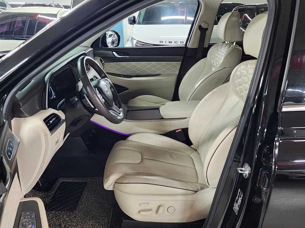 HYUNDAI Palisade - Vista 8