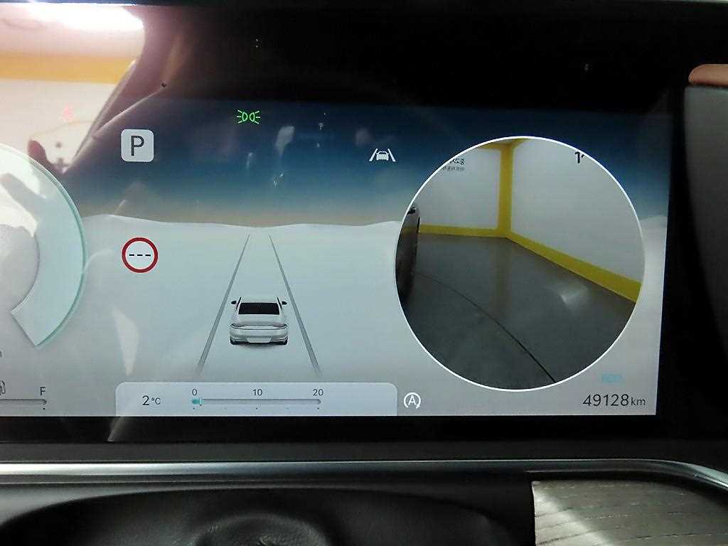 Genesis G90 - Vista 8