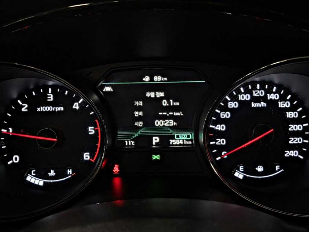 KIA Carnival - Vista 12