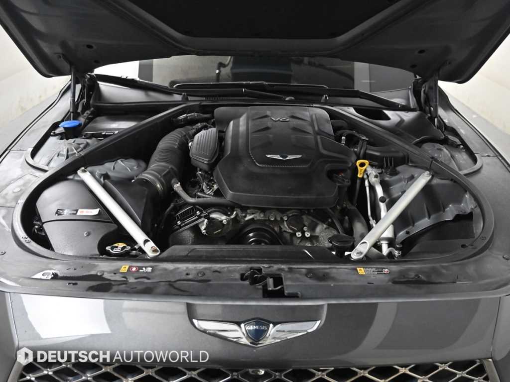 Genesis G90 - Vista 6