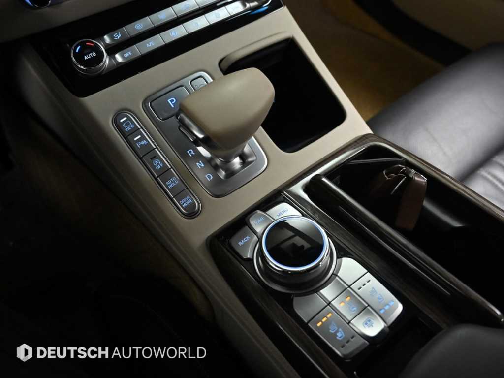 Genesis G90 - Vista 9