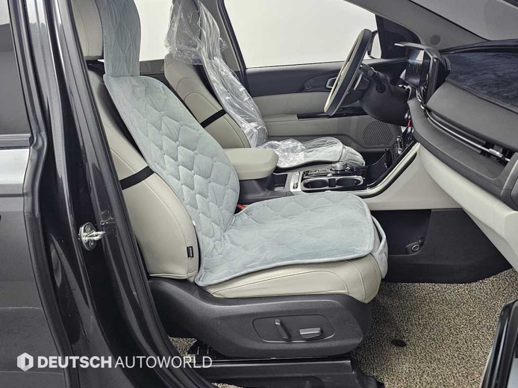 KIA Carnival - Vista 10