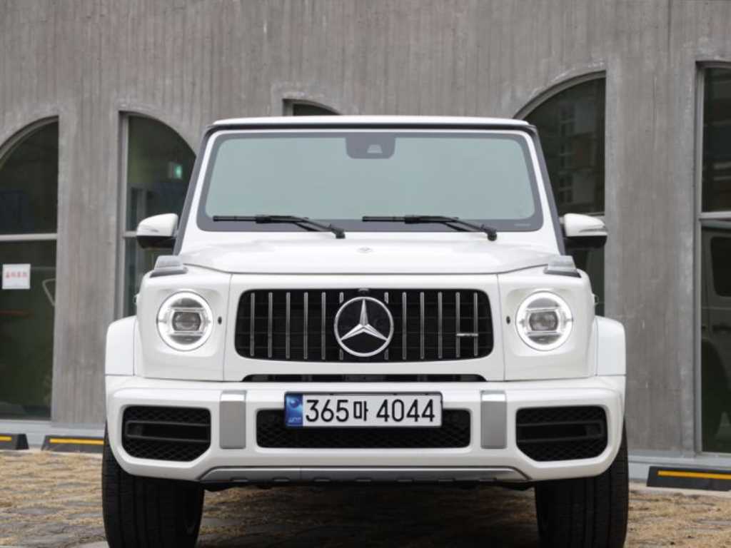 Mercedes Benz G Class (G Wagen) - Vista 2