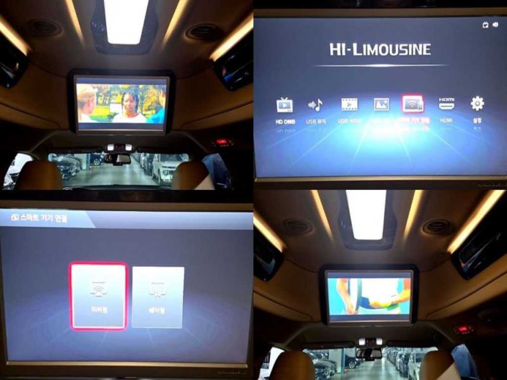 KIA Carnival - Vista 12