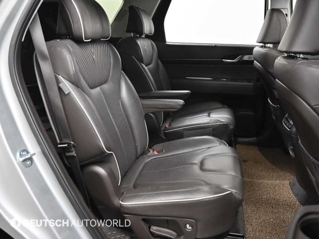 HYUNDAI Palisade - Vista 12