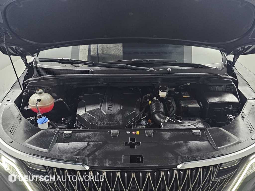 KIA Carnival - Vista 6