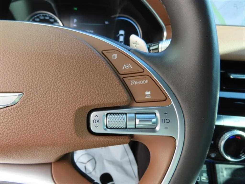 Genesis G80 - Vista 11