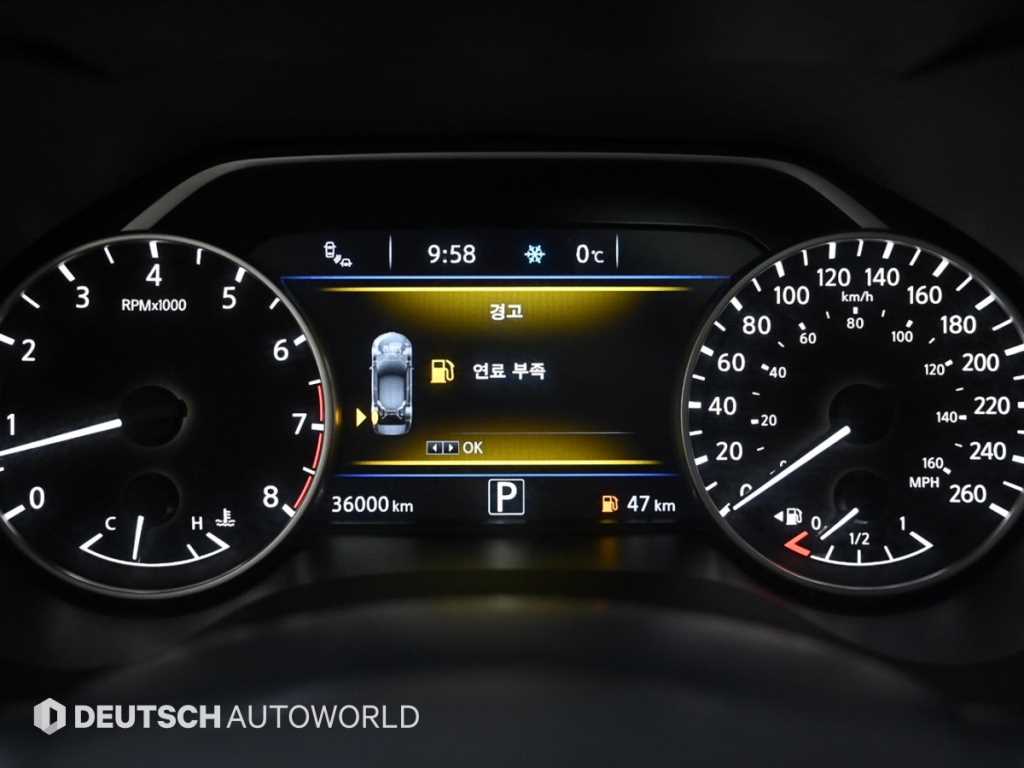 Nissan Maxima - Vista 8