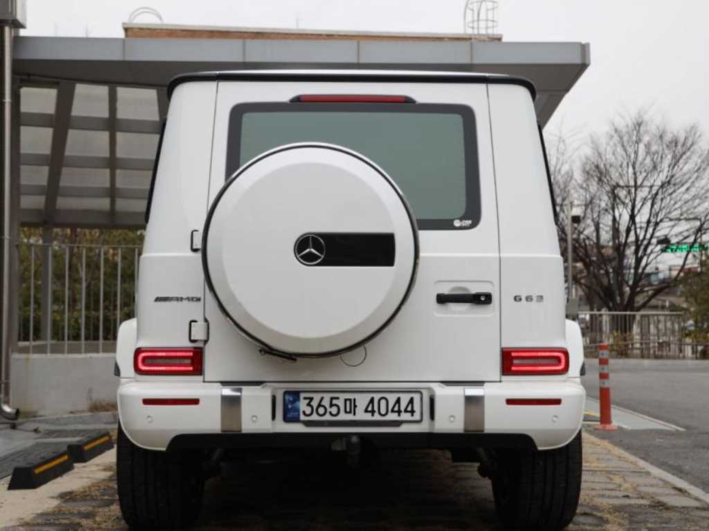 Mercedes Benz G Class (G Wagen) - Vista 5