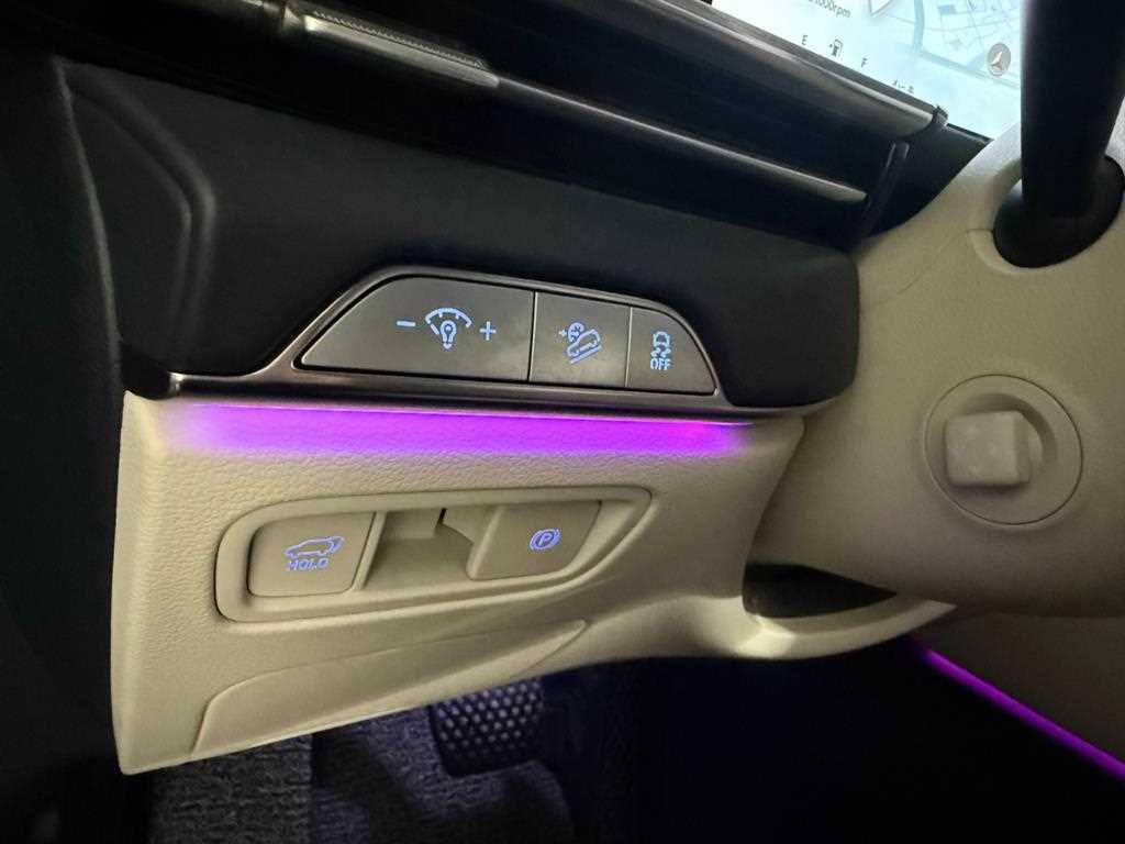 Genesis GV80 - Vista 10