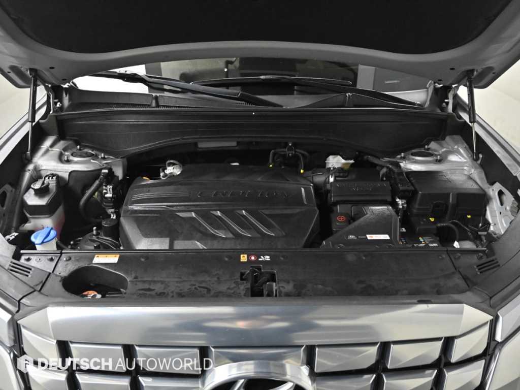 HYUNDAI Palisade - Vista 6