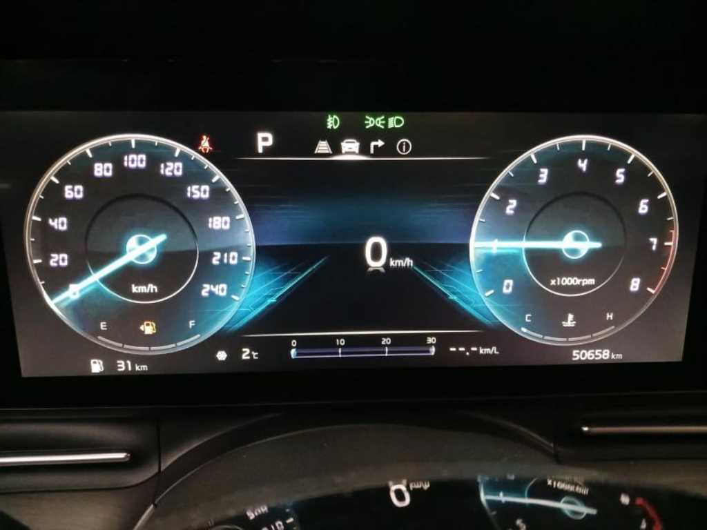 KIA Carnival - Vista 10