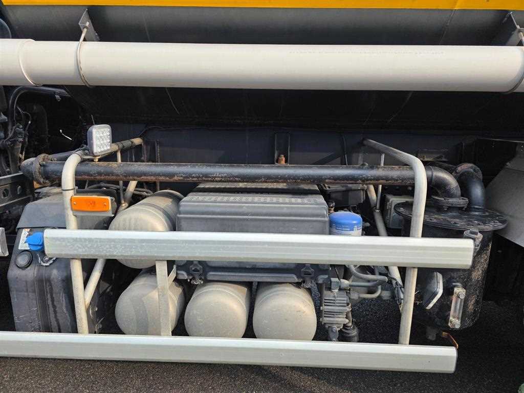 medium and large cargo Rory - Vista 8