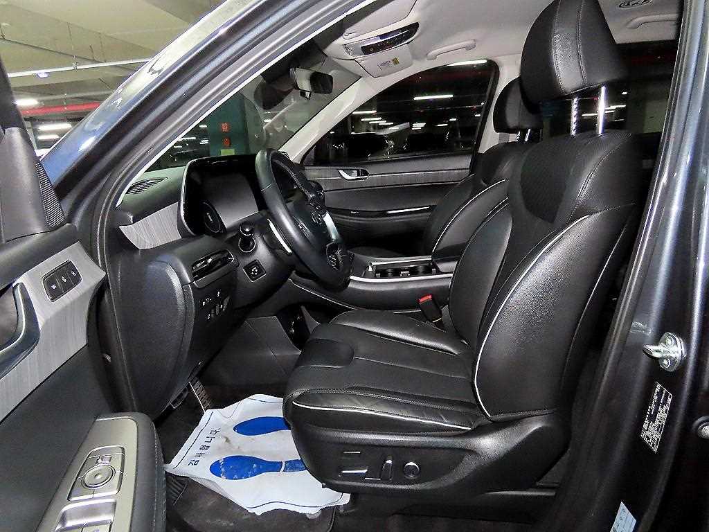 HYUNDAI Palisade - Vista 6