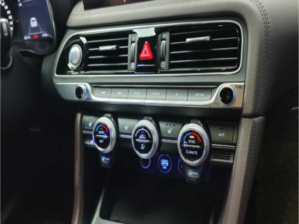 Genesis G70 - Vista 10