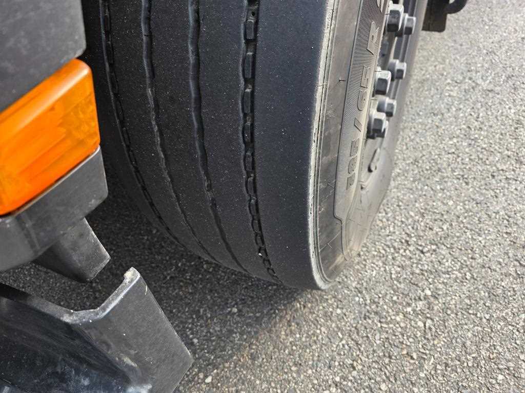 medium and large cargo Rory - Vista 12