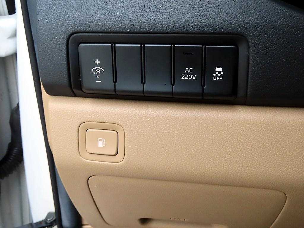 KIA Carnival - Vista 11