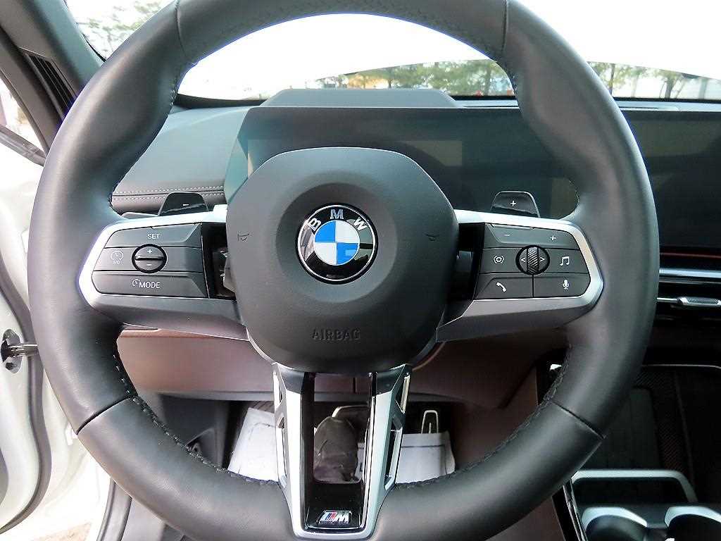 BMW X1 - Vista 8