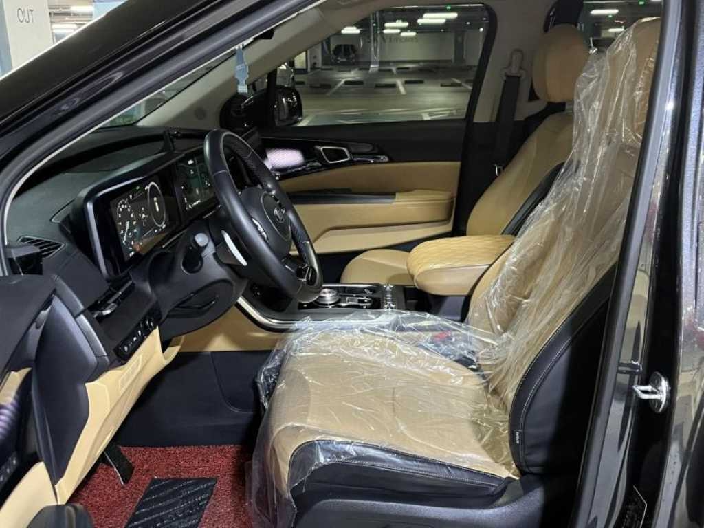 KIA Carnival - Vista 6