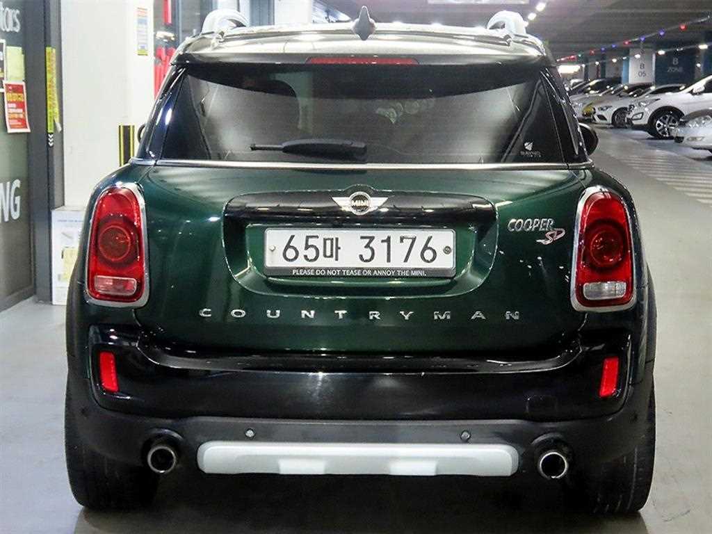 Mini Countryman - Vista 5