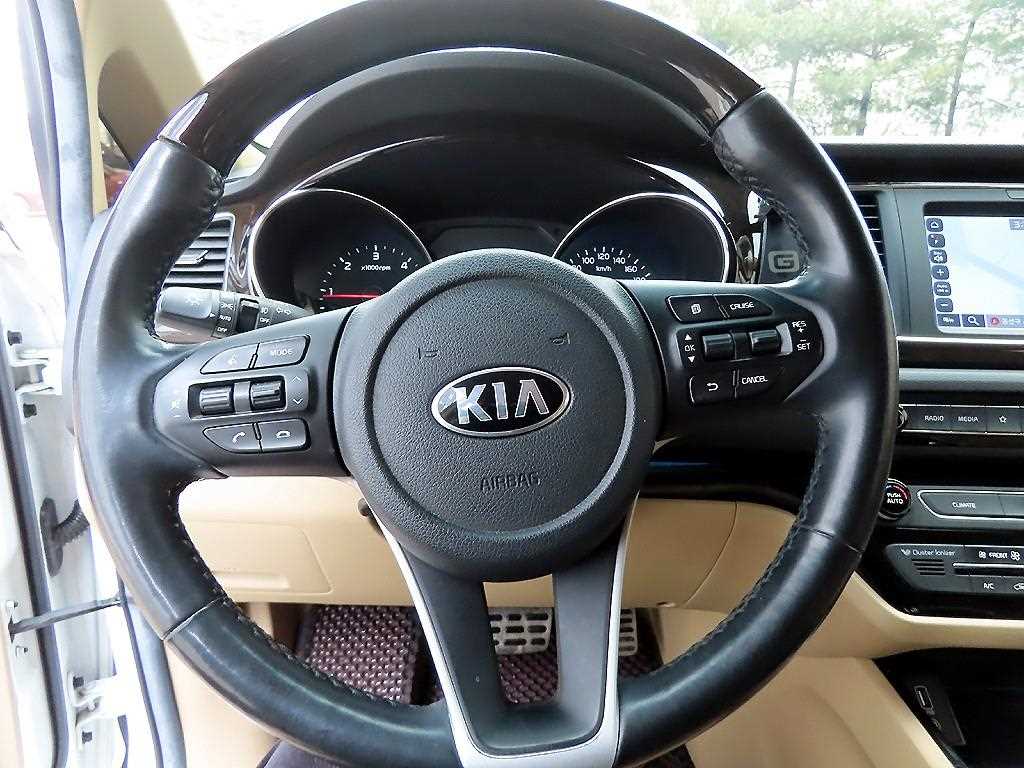 KIA Carnival - Vista 8
