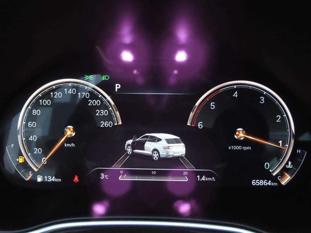 Genesis GV80 - Vista 12