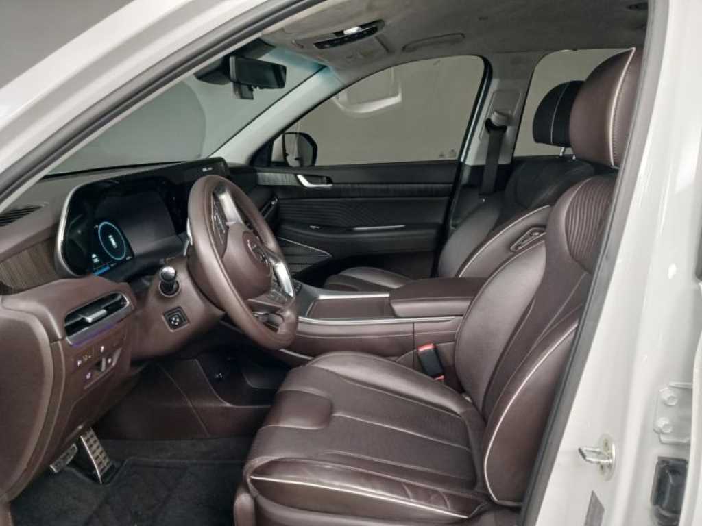 HYUNDAI Palisade - Vista 6