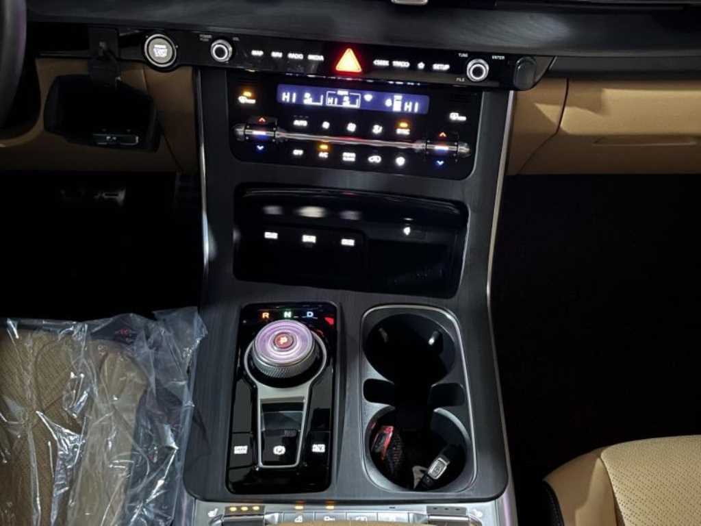 KIA Carnival - Vista 10