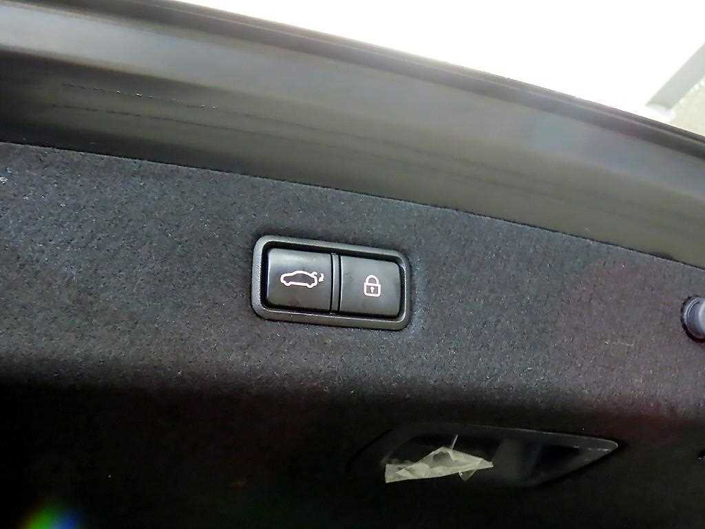 Genesis EQ900 2017 Negro - Importación desde Corea - HF Imports Iquique - Foto 17