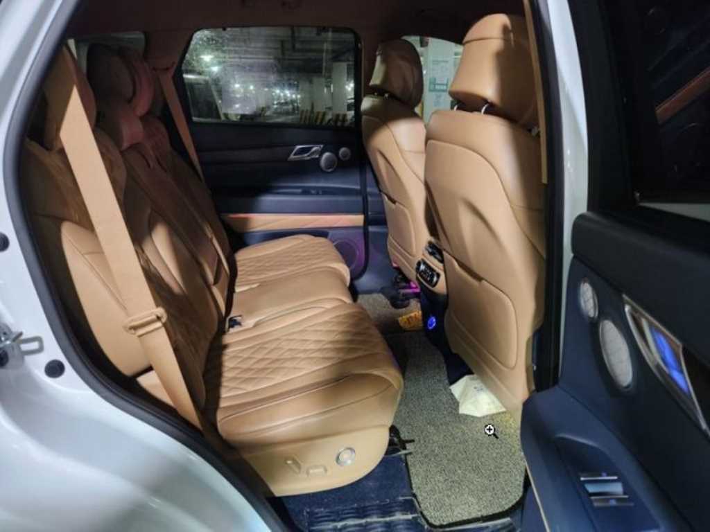 Genesis GV80 - Vista 10