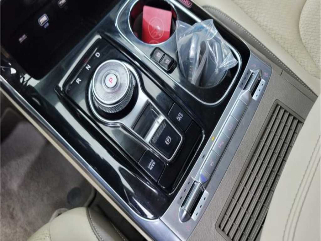 KIA Carnival - Vista 11